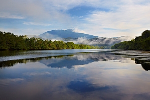 Thornton's Peak - Martin Willis Daintree River below Thorton's Peak